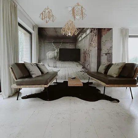 Chalet Cisowy Zakatek Sasino