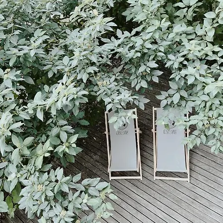 Cisowy Zakatek Chalet Sasino