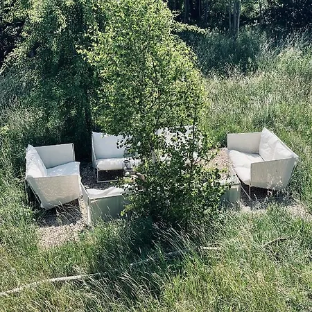 Cisowy Zakatek * Sasino