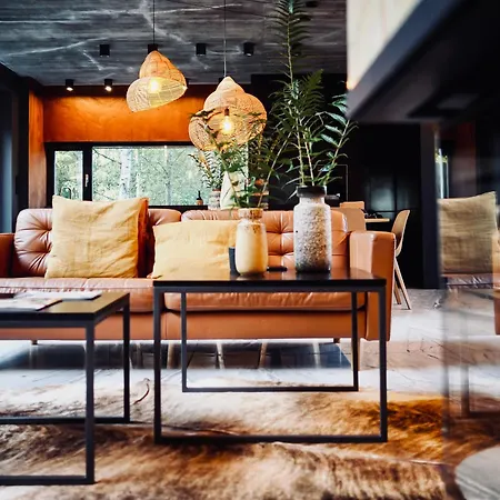 Cisowy Zakatek Chalet Sasino