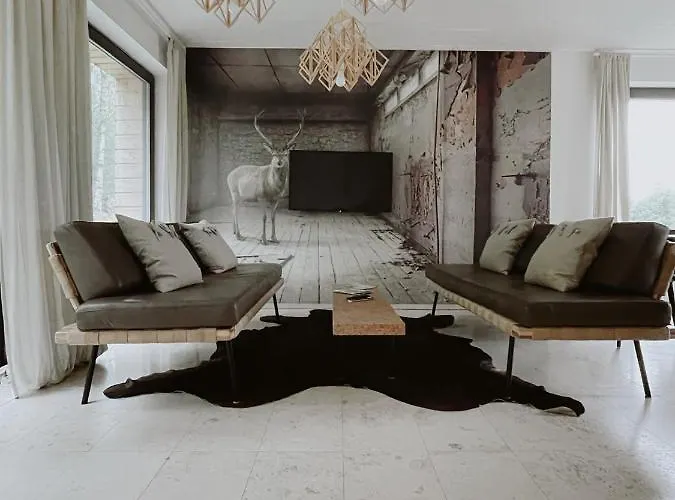 Alpesi faház Cisowy Zakatek Sasino